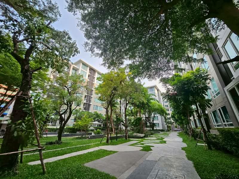 Elements Srinakarin, Bangkok, 43-1 Soi Supaphong 3, Intersection 4, Srinakarin Road, Nong Bon, Prawet, Bangkok, 1 Bedroom, 29 sqm, Condo For Sale, by Winner Estate Education by Chom Property K.ชมพู่, 500273354 - DDproperty.com