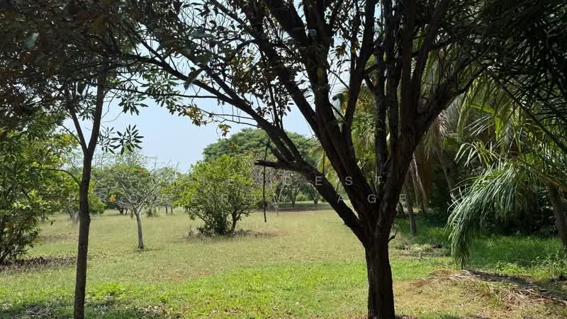 บ้านเดี่ยวพร้อมที่ดินสันป่าตอง เชียงใหม่, Chiang Mai, Yu Wa, San Pa Tong, Chiang Mai, 10+ Bedrooms, 2,400 sqm, Single Detached House For Sale, by The Best Property Agent บอย, 500273371 - DDproperty.com