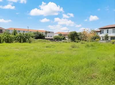 ขาย - ที่ดินบางเขน นนทบุรี, กรุงเทพ