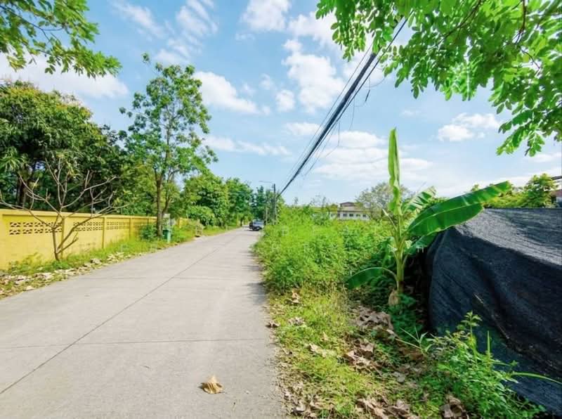 ที่ดินบางเขน นนทบุรี, Bangkok, Don Mueang, Bangkok, , 1,408 sqm, Land For Sale, by The Best Property นก, 500273443 - DDproperty.com