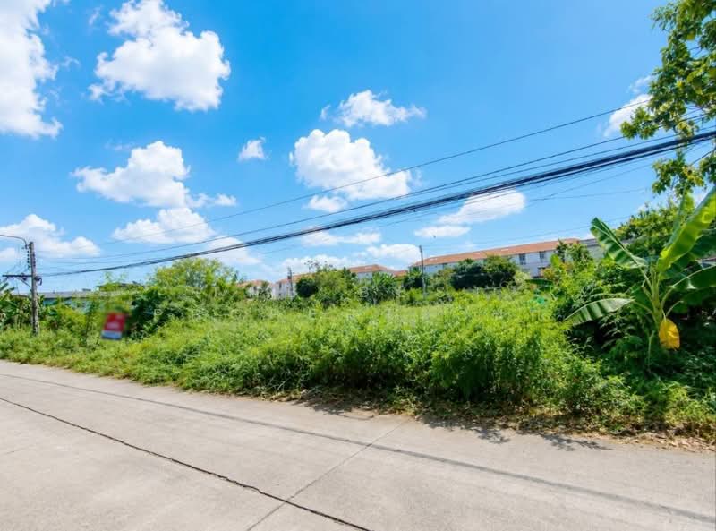 ที่ดินบางเขน นนทบุรี, Bangkok, Don Mueang, Bangkok, , 1,408 sqm, Land For Sale, by The Best Property นก, 500273443 - DDproperty.com