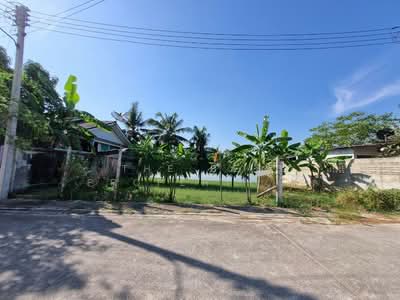 ขาย - ที่ดินชะอำ เพชรบุรี, เพชรบุรี