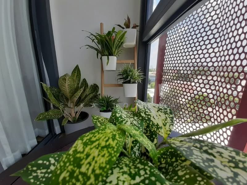 Taka Haus, Bangkok, 99 Soi Ekamai 10, Khlong Tan Nua, Watthana, Bangkok, 1 Bedroom, 45 sqm, Condo For Rent, by Isika Tonkham, 500273733 - DDproperty.com