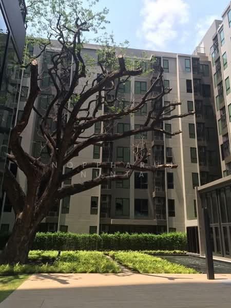 CENTRIC Ari Station, กรุงเทพ, 27 ซอยอารีย์ 1 แขวงสามเสนใน เขตพญาไท กรุงเทพมหานคร, สามเสนใน, พญาไท, กรุงเทพ, 30 ตร.ม., คอนโด ให้เช่า, โดย Noppharuj Nunta, 500273778 - DDproperty.com