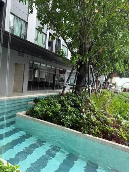 Aspire Sukhumvit-Rama 4, Bangkok, 4404 Rama 4 Road, Phra Kanong, Khlong Toei, Bangkok, 1 Bedroom, 27 sqm, Condo For Rent, by Isika Tonkham, 500273796 - DDproperty.com