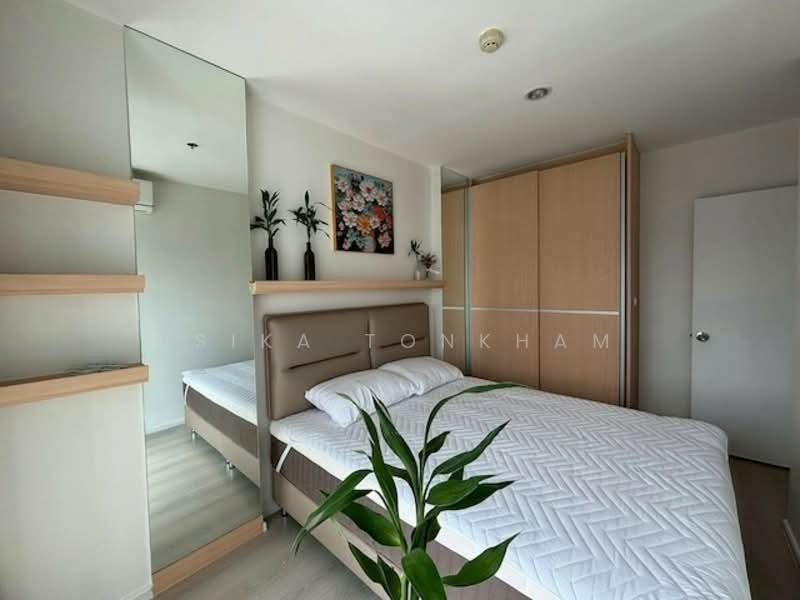 Aspire Sukhumvit 48, Bangkok, Sukhumvit Road, Phra Kanong, Khlong Toei, Bangkok, 2 Bedrooms, 65 sqm, Condo For Rent, by Isika Tonkham, 500273867 - DDproperty.com
