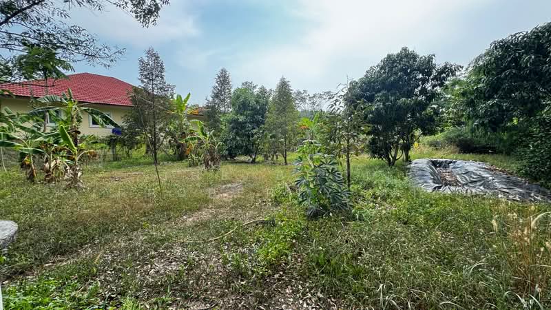 บ้านเดี่ยวพร้อมที่ดินบ้านค่าย ระยอง, Rayong, Chak Bok, Ban Khai, Rayong, 3 Bedrooms, 200 sqm, Single Detached House For Sale, by The Best Property ดา, 500273940 - DDproperty.com