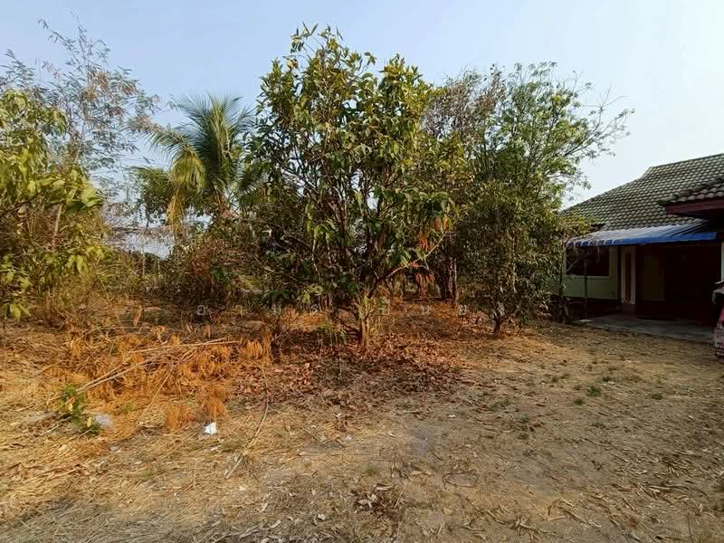 ดอยหล่อ, Chiang Mai, Doi Lo, Doi Lo, Chiang Mai, 3 Bedrooms, 85 sqm, Single Detached House For Sale, by Armon Yuenyong, 500273941 - DDproperty.com