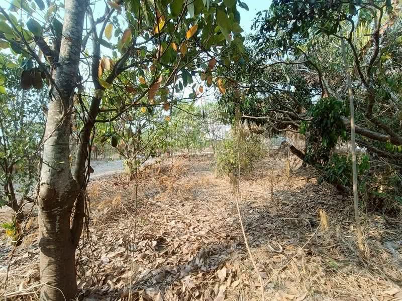 ดอยหล่อ, Chiang Mai, Doi Lo, Doi Lo, Chiang Mai, 3 Bedrooms, 85 sqm, Single Detached House For Sale, by Armon Yuenyong, 500273941 - DDproperty.com