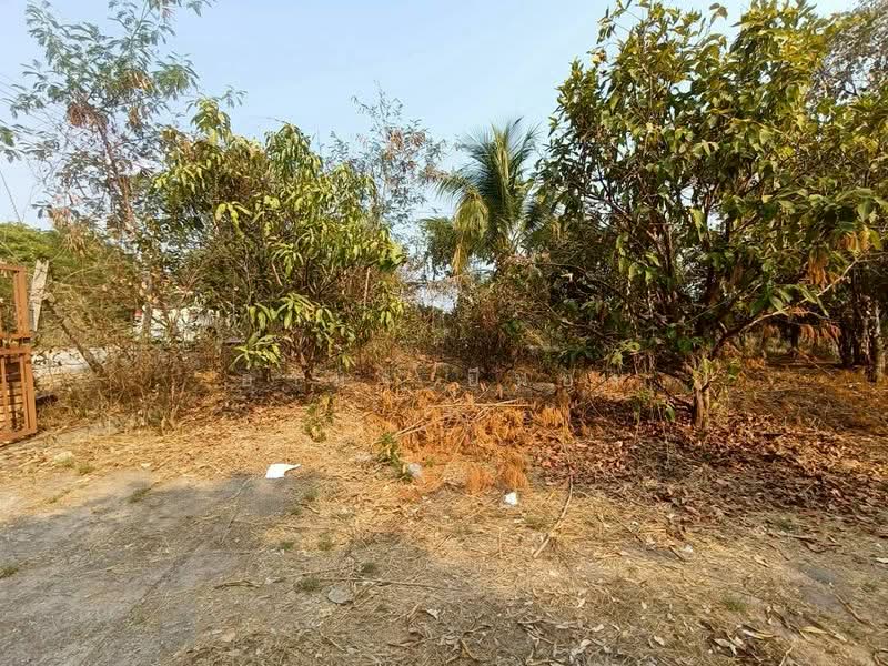 ดอยหล่อ, Chiang Mai, Doi Lo, Doi Lo, Chiang Mai, 3 Bedrooms, 85 sqm, Single Detached House For Sale, by Armon Yuenyong, 500273941 - DDproperty.com