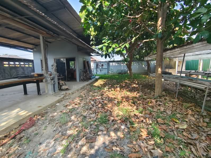 ที่ดินพร้อมสิ่งปลูกสร้างโพธาราม ราชบุรี, ราชบุรี, ดอนกระเบื้อง, โพธาราม, ราชบุรี, 1,644 ตร.ม., ที่ดิน ขาย, โดย The Best Property หยก, 500273992 - DDproperty.com