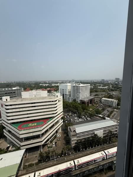 COBE Kaset-Sripatum, Bangkok, Phahon Yothin Rd, Lat Yao, Chatuchak, Bangkok, 1 Bedroom, 36 sqm, Condo For Rent, by Sompob Buaparungsri, 500273998 - DDproperty.com