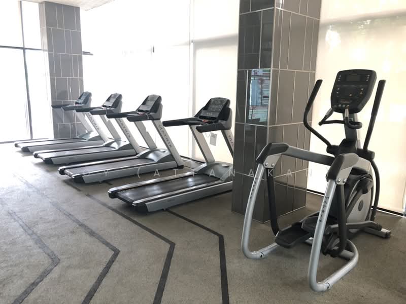 Aspen Condo Lasalle, Bangkok, Soi Sukhumvit 105 (Lasalle), Bang Na, Bang Na, Bangkok, 1 Bedroom, 25 sqm, Condo For Rent, by JOY (Attanakan), 500274001 - DDproperty.com