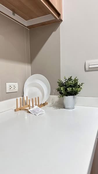 PYNE by Sansiri, Bangkok, Prayatai Road, Thanon Phetchaburi, Ratchathewi, Bangkok, 1 Bedroom, 30 sqm, Condo For Rent, by Bangkok Agent Co.,Ltd., 500274011 - DDproperty.com