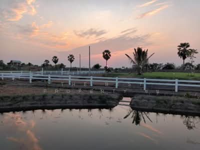 ขาย - บ้านเดี่ยวพร้อมที่ดินองค์รักษ์ นครนายก, นครนายก