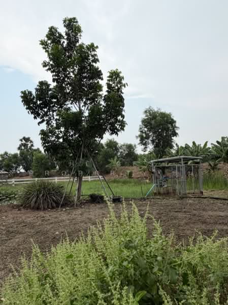 บ้านเดี่ยวพร้อมที่ดินองค์รักษ์ นครนายก, นครนายก, บางลูกเสือ, องครักษ์, นครนายก, 100 ตร.ม., บ้านเดี่ยว ขาย, โดย The Best Property ชน, 500274025 - DDproperty.com