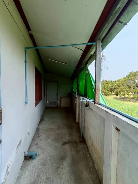 เมืองลำพูน, Lamphun, Ton Thong, Muang Lamphun, Lamphun, 2 Bedrooms, 85 sqm, Single Detached House For Sale, by Armon Yuenyong, 500274032 - DDproperty.com