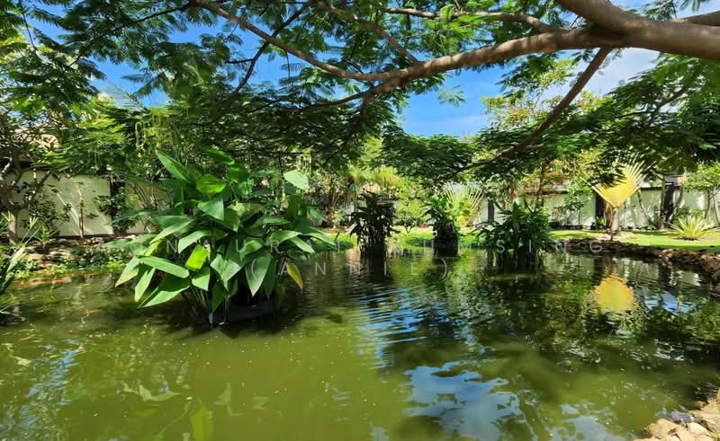 EXECUTIVE CRAFTSMAN FAMILY ESTATE, Prachuap Khiri Khan, Sam Roi Yot, Sam Roi Yot, Prachuap Khiri Khan, 5 Bedrooms, 550 sqm, Single Detached House For Sale, by Aonaurai Kumsing (Annie), 500274035 - DDproperty.com