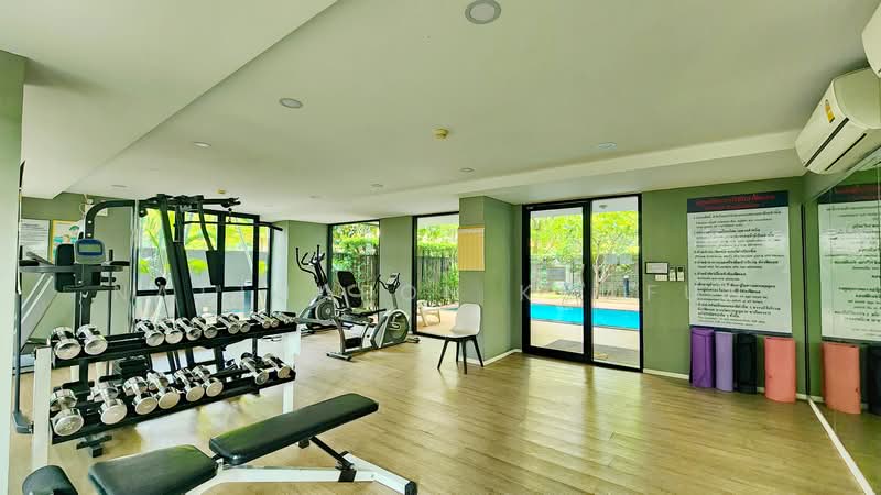 ให้เช่า - Palm Springs Nimman Royal : ปาล์ม สปริงส์ นิมมาน รอยัล, เชียงใหม่