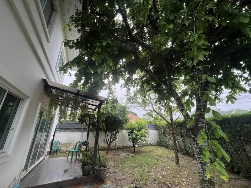 บ้าน 3-ห้องนอน, ชลบุรี, หนองปรือ, บางละมุง, ชลบุรี, 298 ตร.ม., บ้านเดี่ยว ขาย, โดย Supitsara  Sangarun, 500274153 - DDproperty.com