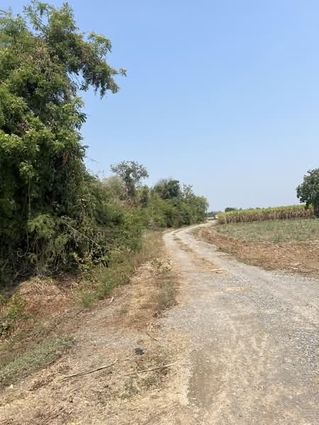 ขายที่ดินพร้อมสิ่งปลูกสร้าง ทำเลดี บรรยากาศร่มรื่น, Suphan Buri, Chorakhe Sam Phan, U Thong, Suphan Buri, , 15,176 sqm, Land For Sale, by คุณ วิญากร, 500274178 - DDproperty.com