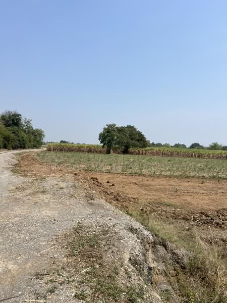 ขายที่ดินพร้อมสิ่งปลูกสร้าง ทำเลดี บรรยากาศร่มรื่น, Suphan Buri, Chorakhe Sam Phan, U Thong, Suphan Buri, , 15,176 sqm, Land For Sale, by คุณ วิญากร, 500274178 - DDproperty.com