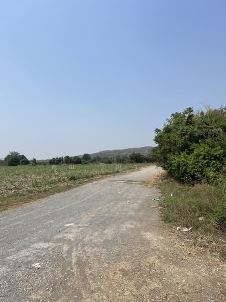 ขายที่ดินพร้อมสิ่งปลูกสร้าง ทำเลดี บรรยากาศร่มรื่น, สุพรรณบุรี, จรเข้สามพัน, อู่ทอง, สุพรรณบุรี, 15,176 ตร.ม., ที่ดิน ขาย, โดย คุณ วิญากร, 500274178 - DDproperty.com