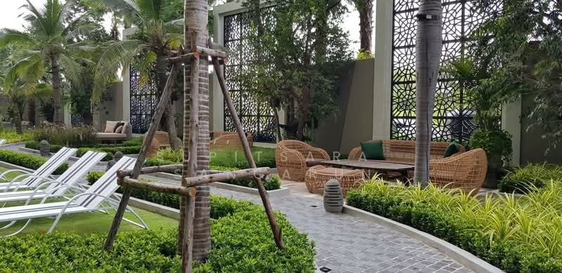 Wyndham Jomtien Pattaya : วินด์แฮม จอมเทียน พัทยา, ชลบุรี, หนองปรือ, บางละมุง, ชลบุรี, 35 ตร.ม., คอนโด ขาย, โดย Supitsara  Sangarun, 500274181 - DDproperty.com