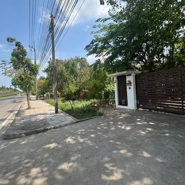 บ้านเดี่ยวสร้างเอง 200ตรว. ติดถนนทวีวัฒนา 2หลังติดกัน, Bangkok, Sala Thammasop, Thawi Watthana, Bangkok, 4 Bedrooms, 450 sqm, Single Detached House For Sale, by AJHOMECENTER - คุณโต, 500274369 - DDproperty.com