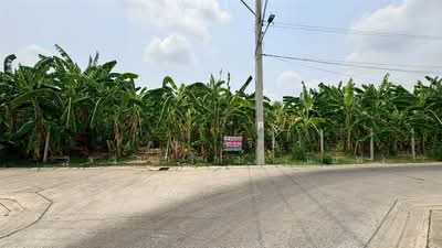 ขาย - ที่ดินเปล่า 1 ไร่ 16 ตร.ว. ที่ดิน ซอยนาคนิวาส21 ซอยทองเกสร ถนนนาคนิวาศ, กรุงเทพ