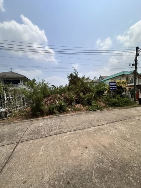 [ด่วนที่สุด!] หลุดจองแปลงเดียวในศุภาลัยบุรี คลอง 4 รังสิต นครนายก"ขายต่ำกว่าประเมิน, ปทุมธานี, คลองสี่, คลองหลวง, ปทุมธานี, 348 ตร.ม., ที่ดิน ขาย, โดย เรียลตี้ วัน, 500274655 - DDproperty.com