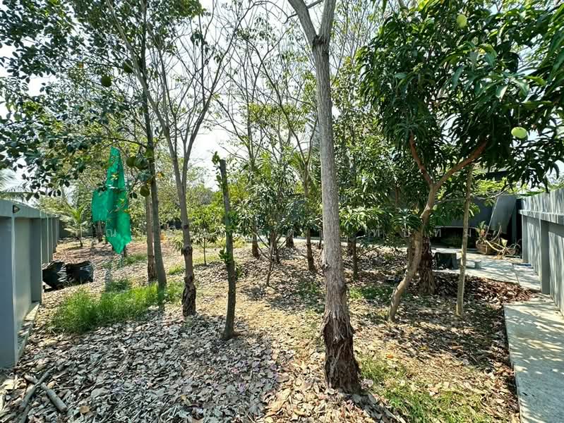 บ้านเดี่ยว 2 ชั้น 200 ตร.ว. บ้านเดี่ยว ซอยโรงเรียนบ้านคลองฝรั่ง ถนนบางกรวย-ไทรน้อย, Nonthaburi, ถนนบางกรวย-ไทรน้อย, Sai Noi, Sai Noi, Nonthaburi, 5 Bedrooms, 600 sqm, Single Detached House For Sale, by คุณ ณิชารดา ทับทิม (เคท), 500274668 - DDproperty.com