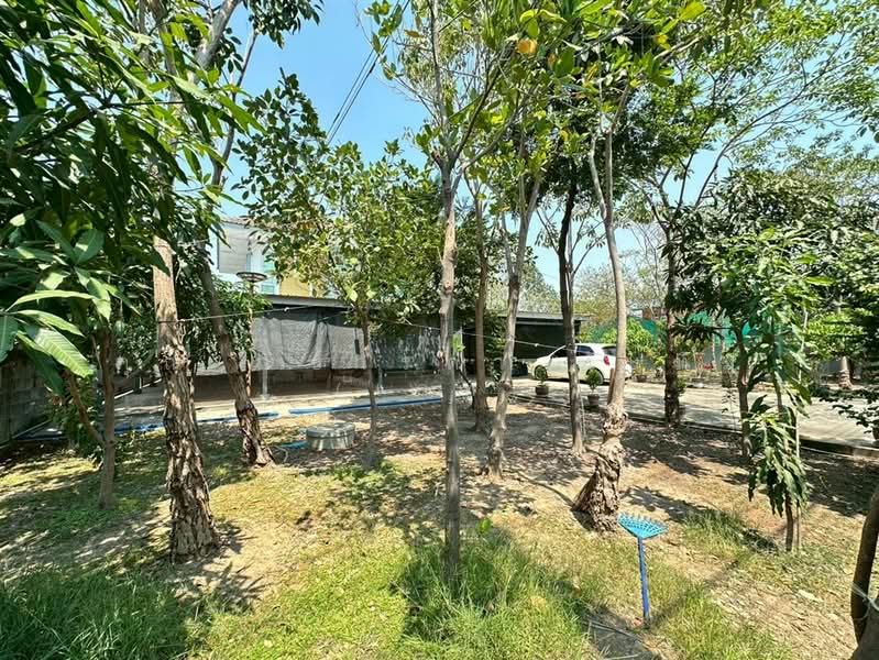 บ้านเดี่ยว 2 ชั้น 200 ตร.ว. บ้านเดี่ยว ซอยโรงเรียนบ้านคลองฝรั่ง ถนนบางกรวย-ไทรน้อย, นนทบุรี, ถนนบางกรวย-ไทรน้อย, ไทรน้อย, ไทรน้อย, นนทบุรี, 600 ตร.ม., บ้านเดี่ยว ขาย, โดย คุณ ณิชารดา ทับทิม (เคท), 500274668 - DDproperty.com