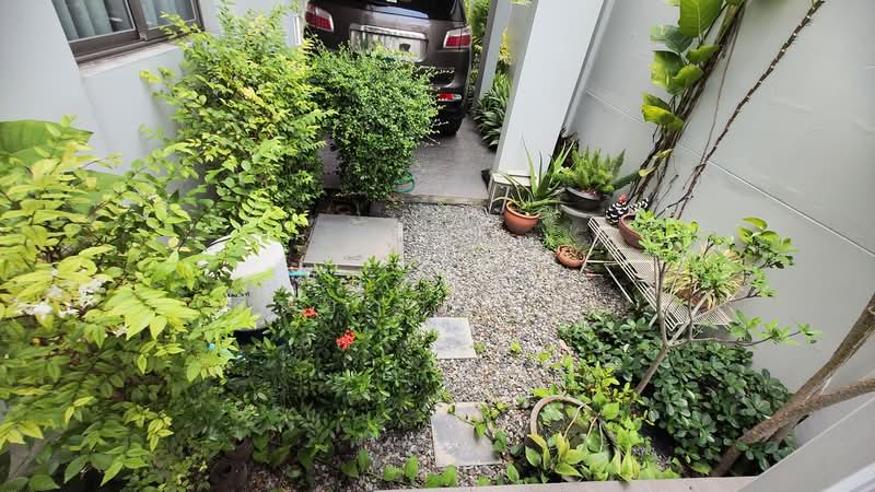 ขาย - ไลฟ อิน เดอะ การ์เด้น สวนเสือ-ศรีราชา : Life in the Garden Sriracha70, ชลบุรี