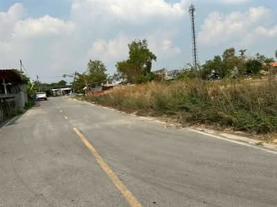 ขาย - ที่ดินเปล่า 150 ตร.ว. ที่ดิน ใกล้ดรีมเวิลด์ ถนนคลองสี่ลำลูกกา, ปทุมธานี