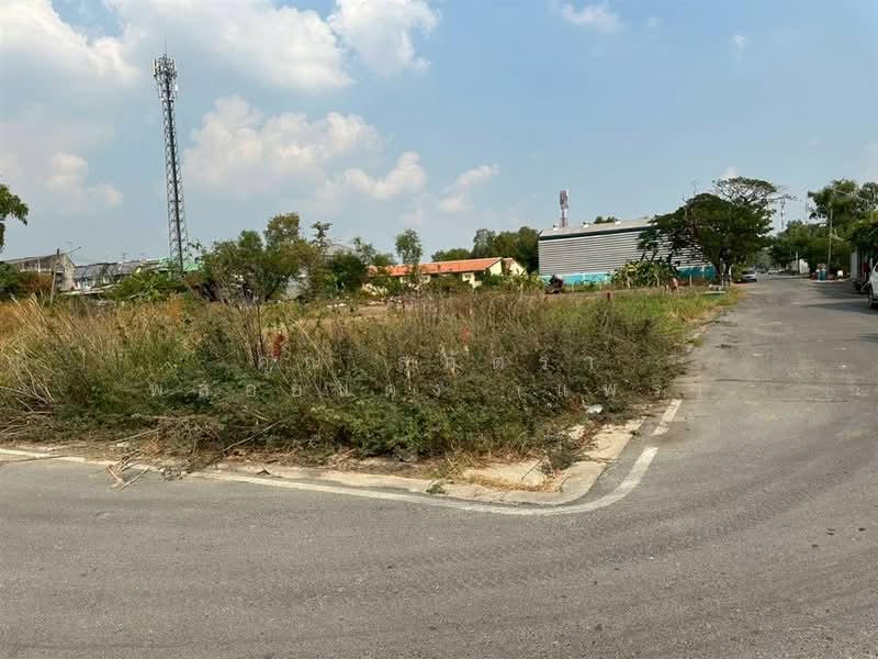 ที่ดินเปล่า 150 ตร.ว. ที่ดิน ใกล้ดรีมเวิลด์ ถนนคลองสี่ลำลูกกา, ปทุมธานี, ถนนคลองสี่ลำลูกกา, บึงยี่โถ, ธัญบุรี, ปทุมธานี, 600 ตร.ม., ที่ดิน ขาย, โดย คุณ สุภัตรา พลอยแดง (แพร), 500274725 - DDproperty.com