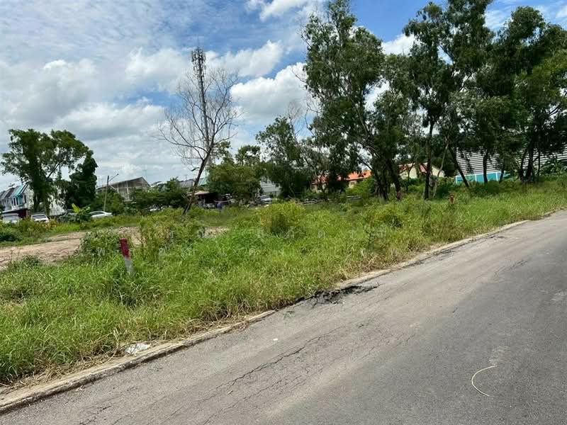 ที่ดินเปล่า 150 ตร.ว. ที่ดิน ใกล้ดรีมเวิลด์ ถนนคลองสี่ลำลูกกา, Pathum Thani, ถนนคลองสี่ลำลูกกา, Bang Yitho, Thanyaburi, Pathum Thani, , 600 sqm, Land For Sale, by คุณ สุภัตรา พลอยแดง (แพร), 500274725 - DDproperty.com