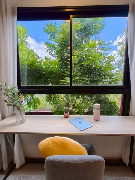 The Base Bukit Phuket : เดอะ เบส บูกิต, ภูเก็ต, 12 ถ.วิชิตสงคราม, วิชิต, เมืองภูเก็ต, ภูเก็ต, 51 ตร.ม., คอนโด ให้เช่า, โดย PrimeGllobalAsset, 500274787 - DDproperty.com