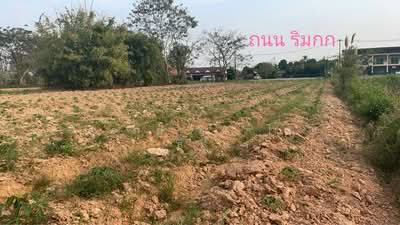 ขาย - ที่ดิน 3-1-55 ไร่ ใกล้สนามบินแม่ฟ้าหลวง, เชียงราย