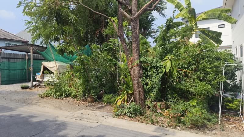 ขายด่วน ที่ดินในรถไฟฟ้าสายสีชมพู ซอยรามอินทรา 68, Bangkok, Khan Na Yao, Khan Na Yao, Bangkok, , 240 sqm, Land For Sale, by Anumas Hangkul, 500274908 - DDproperty.com