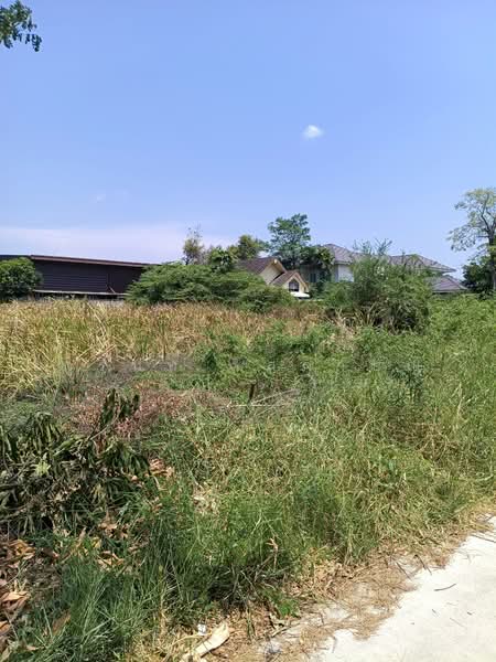 Baan Lalin The Young Executive Onnut-Wongwaen-Suwannabhumi, Bangkok, Chaloem Phrakiat Rama 9 Road, Dok Mai, Prawet, Bangkok, , 3,228 sqm, Land For Sale, by ภูรินท์ โสภาบุญ, 500274911 - DDproperty.com