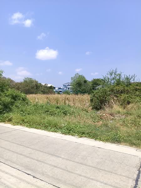 Baan Lalin The Young Executive Onnut-Wongwaen-Suwannabhumi, Bangkok, Chaloem Phrakiat Rama 9 Road, Dok Mai, Prawet, Bangkok, , 3,228 sqm, Land For Sale, by ภูรินท์ โสภาบุญ, 500274911 - DDproperty.com