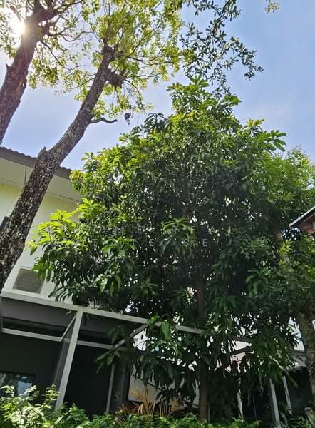 Atoll Java Bay, Samut Prakan, Soi King Kaeo 19, Rachathewa, Bang Plee, Samut Prakan, 3 Bedrooms, 180 sqm, Single Detached House For Sale, by HOME Real Estate Service, 500274918 - DDproperty.com