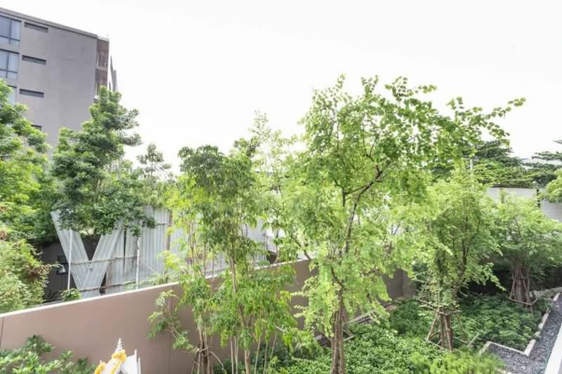 Kawa Haus, Bangkok, 95 Soi Rim Khlong, Phra Kanong Nua, Watthana, Bangkok, 1 Bedroom, 34 sqm, Condo For Rent, by Intouch Abhinorasaeth, 500274935 - DDproperty.com
