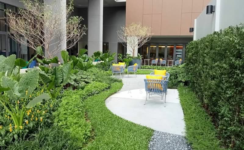 NIA by Sansiri, Bangkok, 199 117/36 Soi Samsakul, Phra Kanong Nua, Watthana, Bangkok, 1 Bedroom, 29 sqm, Condo For Rent, by Intouch Abhinorasaeth, 500274969 - DDproperty.com