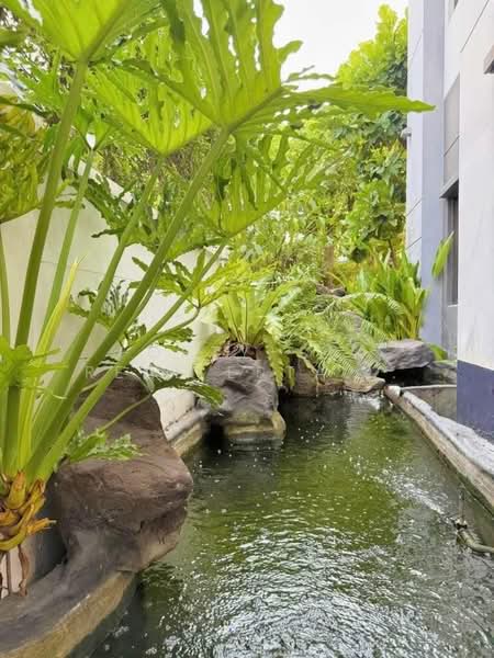 The City Ramintra, Bangkok, Soi 8 Tanon kanchanaphisek 5/7, Tha Rang, Bang Khen, Bangkok, 4 Bedrooms, 200 sqm, Single Detached House For Rent, by Forty-Six Real Estate Group, 500275094 - DDproperty.com