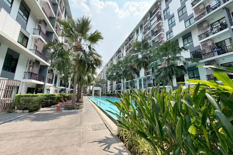 iCondo Sukhumvit 105 : ไอคอนโด สุขุมวิท 105, กรุงเทพ, 20 ซอยลาซาล 19 ถนนสุขุมวิท 105, บางนา, บางนา, กรุงเทพ, 31 ตร.ม., คอนโด ขาย, โดย สง่าชัย ไทรทองคำ, 500275440 - DDproperty.com