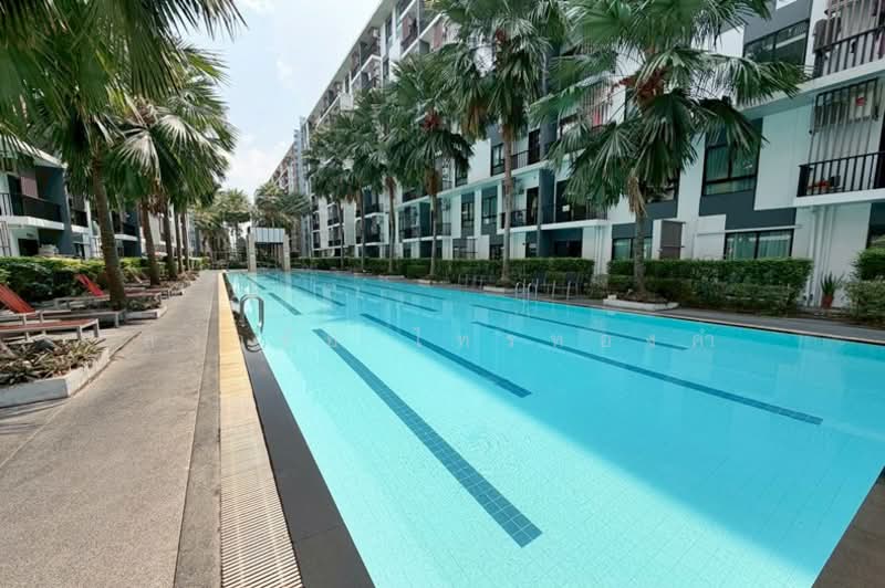 iCondo Sukhumvit 105, Bangkok, 20 Soi Lasalle 19,  Sukhumvit 105 Road, Bang Na, Bang Na, Bangkok, 1 Bedroom, 31 sqm, Condo For Sale, by สง่าชัย ไทรทองคำ, 500275440 - DDproperty.com