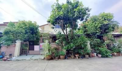 ขาย - Sivalee Rangsit 2 : บ้านสีวลี รังสิต 2, ปทุมธานี