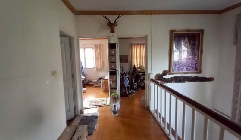 Sivalee Rangsit 2 : บ้านสีวลี รังสิต 2, ปทุมธานี, ถนน รังสิต-นครนายก, ประชาธิปัตย์, ธัญบุรี, ปทุมธานี, 250 ตร.ม., บ้านเดี่ยว ขาย, โดย ชนะชาติ นนท์ตา, 500275555 - DDproperty.com